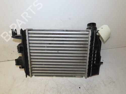 Intercooler NISSAN JUKE (F16_) DIG-T 117 | BP37049576M30 - Image 2