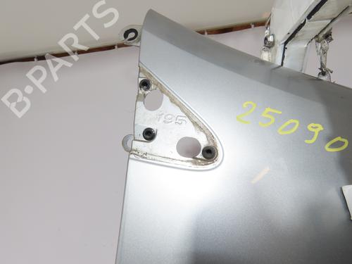 Right front fenders RENAULT CLIO III (BR0/1, CR0/1) 1.5 dCi (BR17, CR17) | BP29845422C42