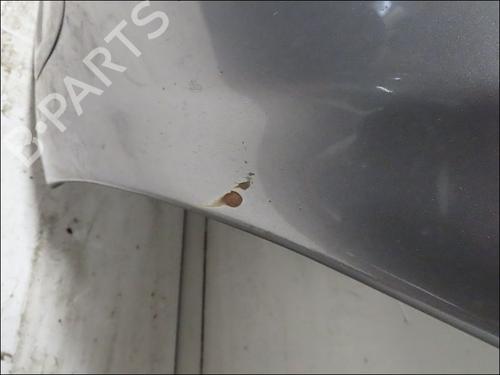 Hood CITROËN XSARA PICASSO (N68) 2.0 HDi | BP23170303C1 