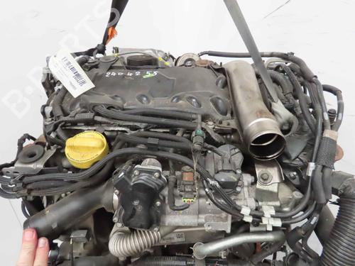 Engine RENAULT KOLEOS I (HY_) 2.0 dCi 4x4 (HY0B) | BP37047452M1 - Image 6