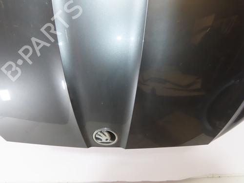 Hood SKODA ENYAQ iV SUV (5AZ) RS | BP29963554C1