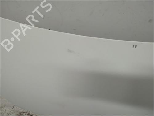 Hood PEUGEOT BIPPER (AA_) 1.3 HDi 75 | BP16203103C1 