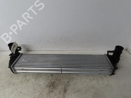 Used Other RENAULT ESPACE IV (JK0/1_) 2.0 dCi (JK03, JK04, JK1C, JK1G, JK1J, JK1K) (173 hp) 18316235