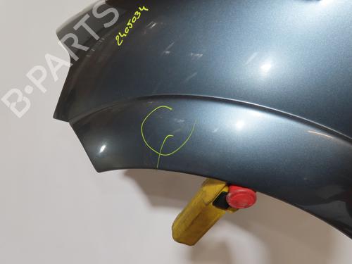 Left front fenders CITROËN C3 I (FC_, FN_) 1.1 i | BP24441916C41 