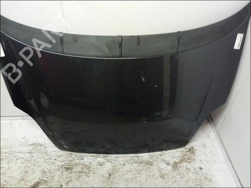 Capot FIAT PUNTO (199_) 1.3 D Multijet (95 hp) 12065818