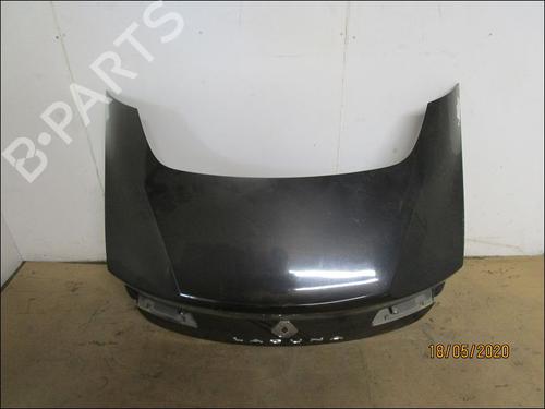 Used Tailgate RENAULT LAGUNA Coupe (DT0/1) 2.0 dCi (DT01, DT08, DT09, DT0K, DT12, DT1C, DT1D, DT1M,... (150 hp) 10951122
