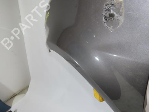 Left front fenders RENAULT CLIO III (BR0/1, CR0/1) 1.6 16V (BR05, BR0B, BR0Y, BR15, BR1J, BR1M, BR1Y, CR0B,... | BP22811444C41 