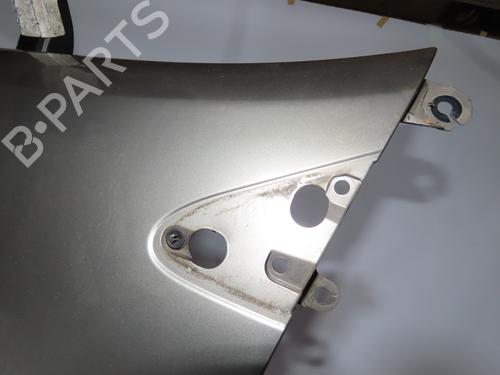 Left front fenders RENAULT CLIO III (BR0/1, CR0/1) 1.5 dCi (BR17, CR17) | BP27602468C41 