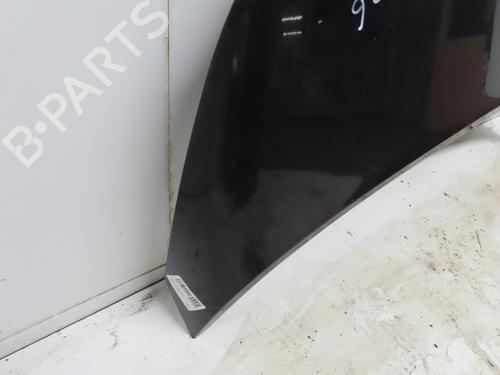 Hood RENAULT SCÉNIC II (JM0/1_) 1.9 dCi (JM0G, JM12, JM1G, JM2C) | BP16781638C1 
