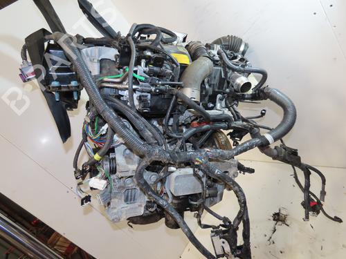Motor Motor NISSAN QASHQAI II (J11, J11_) 1.5 dCi (116 hp) 33946920 33946920