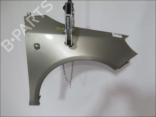 Right front fenders SKODA FABIA II (542) 1.2 | BP29577455C42 