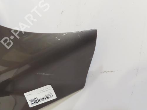 Hood RENAULT SCÉNIC III (JZ0/1_) 1.5 dCi (JZ02, JZ0R) | BP19326683C1