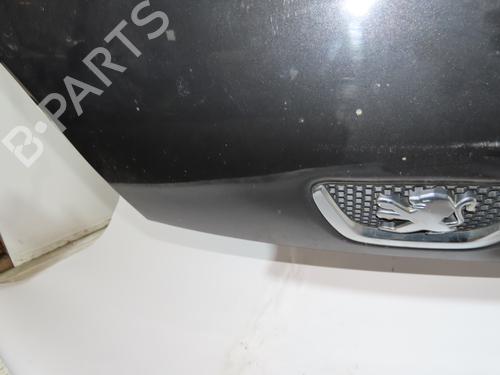 Hood PEUGEOT BIPPER Tepee 1.4 HDi | BP21391926C1