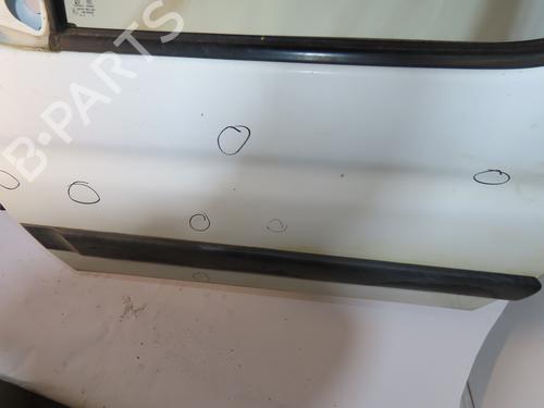 Left front door PEUGEOT PARTNER Box Body/MPV (5_, G_) 1.6 HDi 75 | BP20162463C2