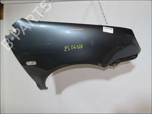 Right front fenders VW POLO IV (9N_, 9A_) 1.9 TDI | BP27580896C42 