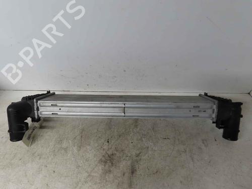 Intercooler Intercooler RENAULT ESPACE IV (JK0/1_) 2.0 dCi (JK03, JK04, JK1C, JK1G, JK1J, JK1K) (173 hp) 37048067 37048067