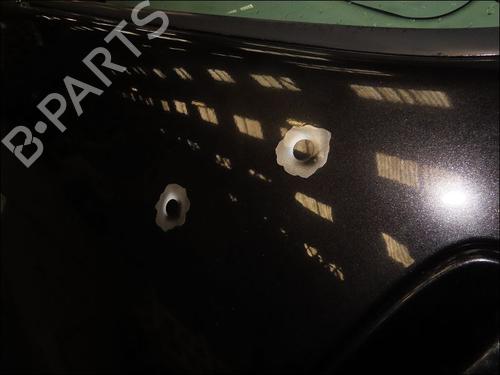 Left front door OPEL VIVARO A Van (X83) 2.0 CDTI (F7) | BP16182537C2