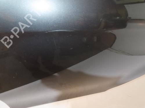 Left rear door FIAT BRAVO II (198_) 1.6 D Multijet (198AXH1B) | BP20162484C4 