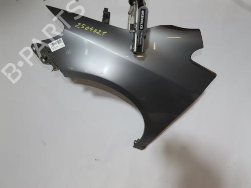 Left front fenders VW GOLF PLUS V (5M1, 521) 1.6 TDI | BP29414505C41 