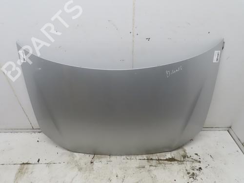 Used Hood VW POLO IV (9N_, 9A_) 1.4 TDI (80 hp) 19149695