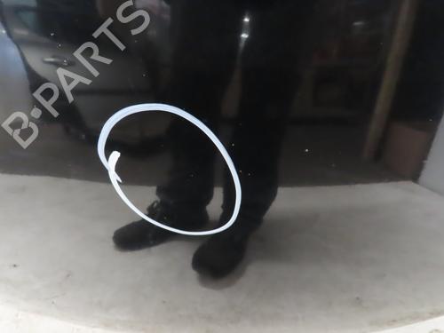 Used Hood Hood MAZDA 2 (DE_, DH_) 1.4 MZR-CD (68 hp) 18248818 18248818