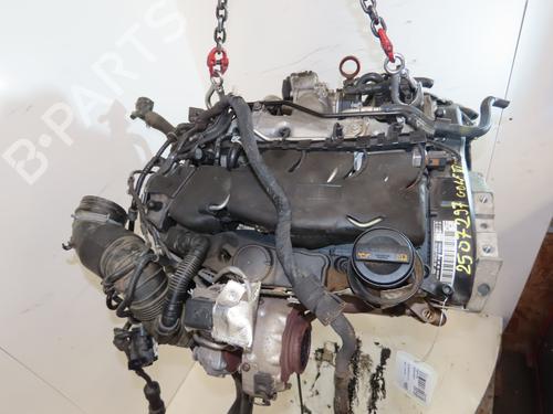 Used Engine VW GOLF VI (5K1) 2.0 TDI (110 hp) 29414457