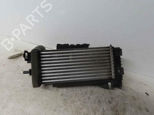 Intercooler FORD KUGA II (DM2) 1.5 TDCi | BP37047910M30 - Image 2