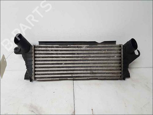 Intercooler Intercooler RENAULT KANGOO (KC0/1_) 1.9 dCi 4x4 (KC0V) (80 hp) 37041611 37041611