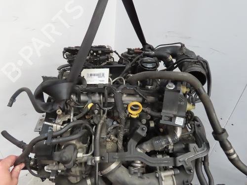 Engine VW POLO V (6R1, 6C1) 1.4 TDI | BP19577784M1 