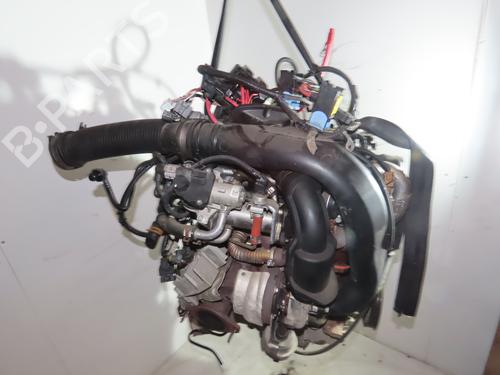 Engine RENAULT MEGANE III Hatchback (BZ0/1_, B3_) 1.5 dCi (BZ09, BZ0D, BZ1W, BZ29, BZ14) | BP31151690M1