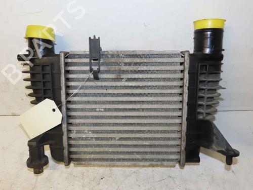 Intercooler Intercooler RENAULT CLIO III Grandtour (KR0/1_) 1.5 dCi (KR0F) (86 hp) 37050208 37050208