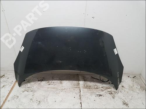 Used Hood RENAULT SCÉNIC III (JZ0/1_) 1.5 dCi (106 hp) 10946792