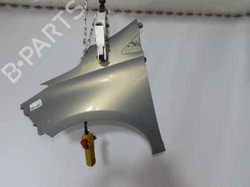 Guarda-lamas esquerdo RENAULT ZOE (BFM_) ZOE | BP30605600C41