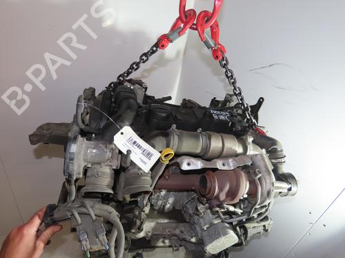 Motor FORD B-MAX (JK) 1.6 TDCi (95 hp) 26328511