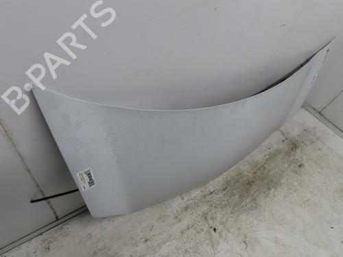 Hood RENAULT KANGOO Express (FW0/1_) 1.5 dCi 85 (FW0K, FW0L, FW0B) | BP19701696C1 