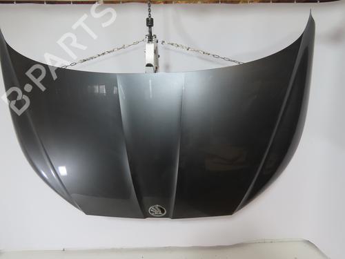 Hood SKODA ENYAQ iV SUV (5AZ) RS | BP29963554C1