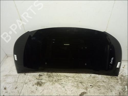 Panser CITROËN C3 Picasso (SH_) 1.6 HDi (90 hp) 12203504