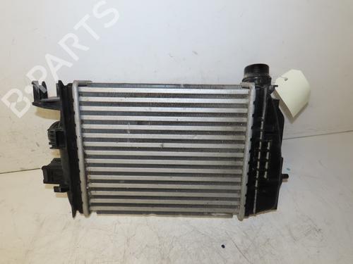 Other NISSAN JUKE (F16_) DIG-T 117 | BP19932365O1 