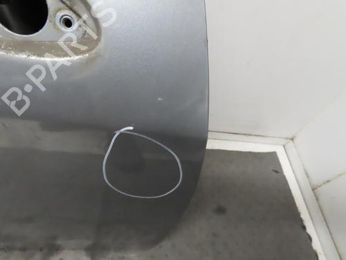 Right front door FIAT PUNTO EVO (199_) 1.2 | BP18913216C3 