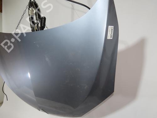 Hood RENAULT MEGANE III Hatchback (BZ0/1_, B3_) 1.5 dCi | BP22848572C1 