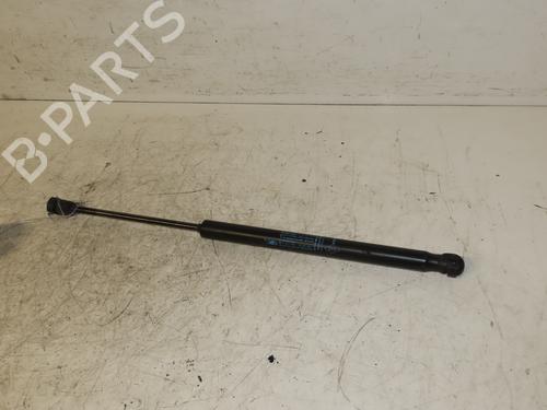 Used Tailgate lift support RENAULT MEGANE III Hatchback (BZ0/1_, B3_) 1.5 dCi (86 hp) 21008156