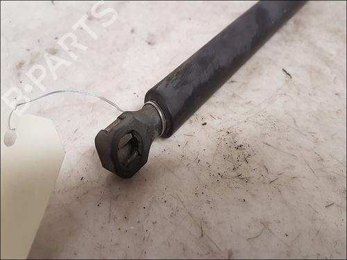 Tailgate lift support PEUGEOT 806 (221) 2.0 HDI | BP16155657C138 