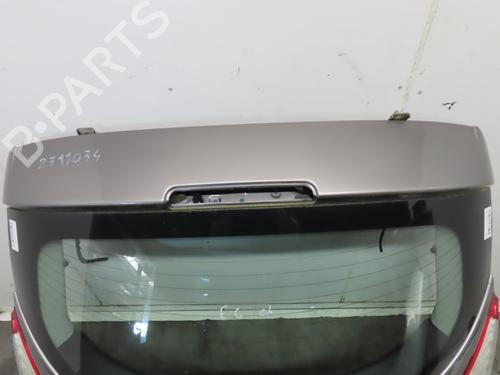 Tailgate RENAULT MEGANE III Hatchback (BZ0/1_, B3_) 1.5 dCi | BP19690189C6 