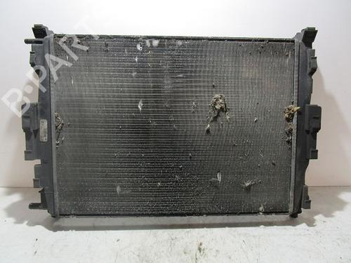 Used Water radiator RENAULT MEGANE II Coupé-Cabriolet (EM0/1_) 1.9 dCi (120 hp) 10940920