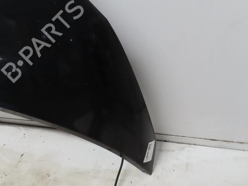 Hood RENAULT SCÉNIC II (JM0/1_) 1.9 dCi (JM0G, JM12, JM1G, JM2C) | BP16781638C1 