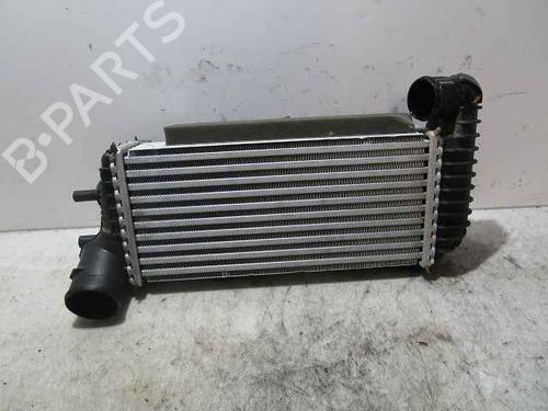 Intercooler Intercooler FORD KUGA II (DM2) 1.5 TDCi (120 hp) 37039574 37039574