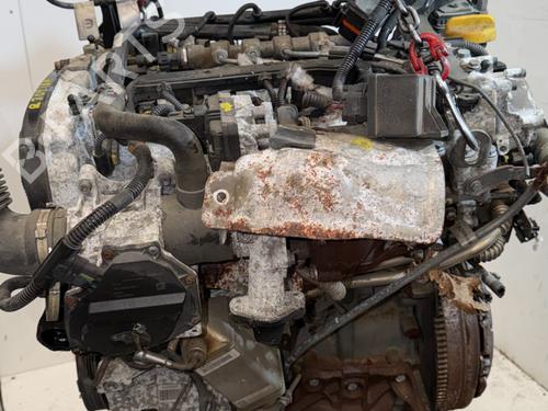 Engine FIAT 500X (334_) 1.6 D Multijet (334AXA1B, 334AXA11) | BP39011651M1 - Image 6