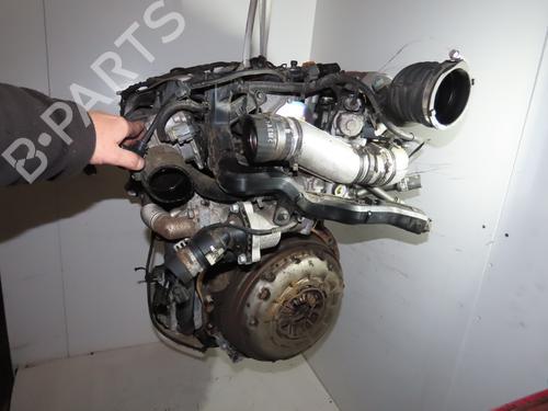Used Engine KIA SPORTAGE IV (QL, QLE) 2.0 CRDi (136 hp) 29643544