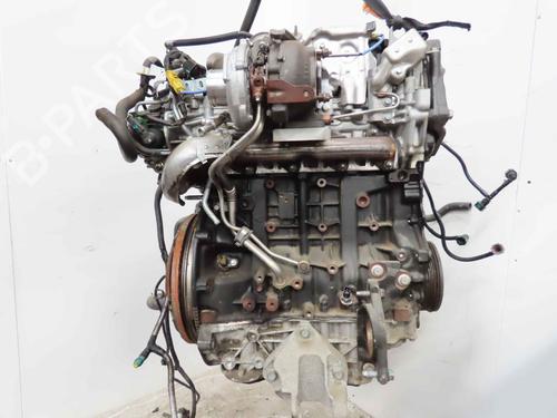 Engine RENAULT KOLEOS I (HY_) 2.0 dCi 4x4 (HY0B) | BP37047452M1 - Image 3