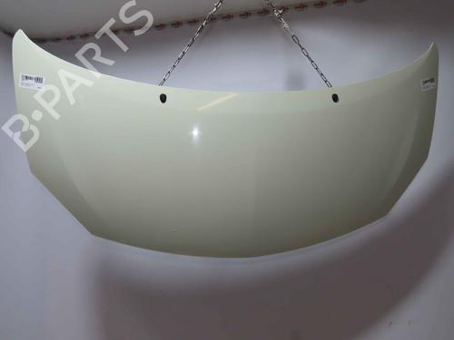 hood-renault-twingo-ii-cn0_-2007-37052783 main image